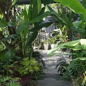 Sunny Garden Privatunterkunft Hoi An